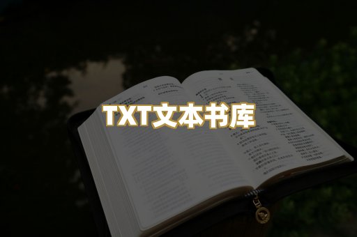 TXT文本书库